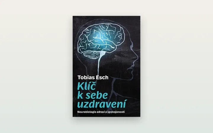 Recenze knihy Klíč k sebeuzdravení (Tobias Esch): co nabízí neurobiologie zdraví a pohody