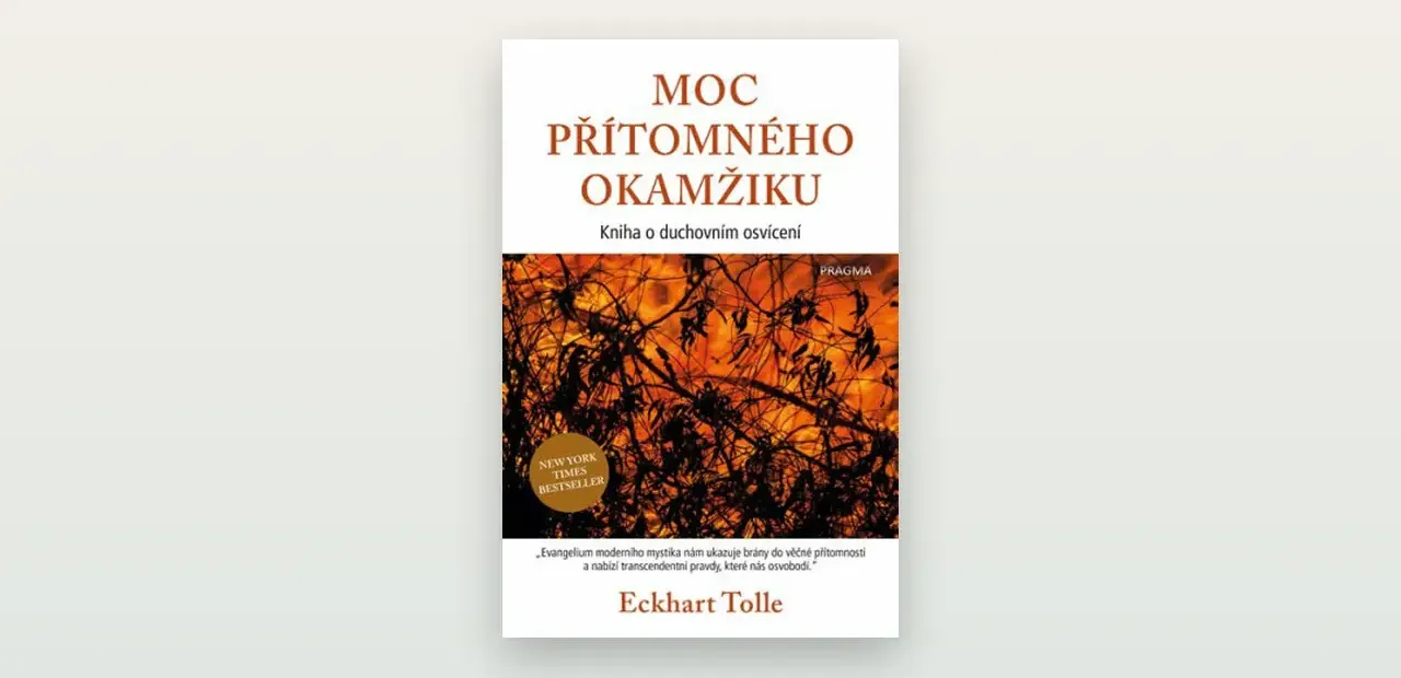 Moc přítomného okamžiku (Eckhart Tolle): poctivá recenze a co od knihy čekat