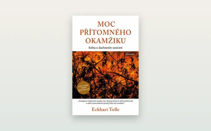 Moc přítomného okamžiku (Eckhart Tolle): poctivá recenze a co od knihy čekat
