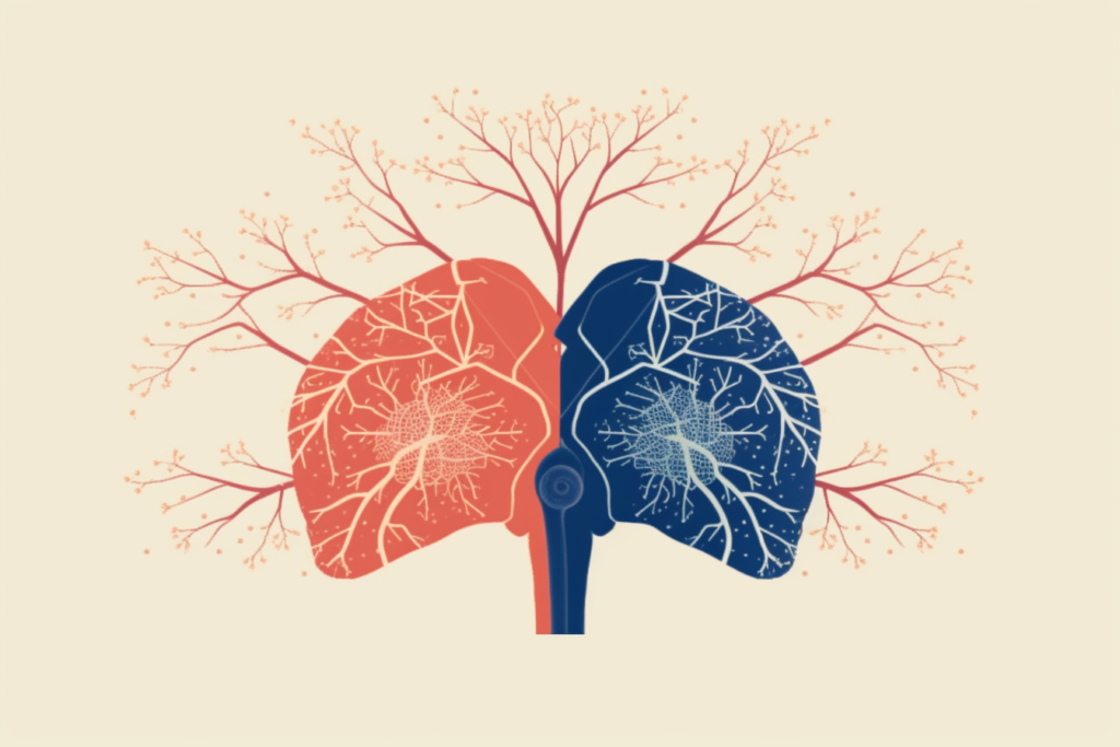 Ilustrace mozku a plic, které jsou propojeny šipkami, znázorňující vliv dýchání na naše emoce a fyziologii