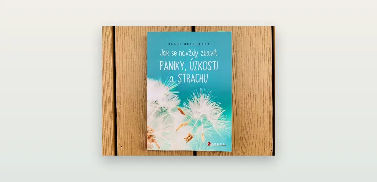 Jak se zbavit paniky: poctivá recenze knihy „Jak se navždy zbavit paniky, úzkosti a strachu“