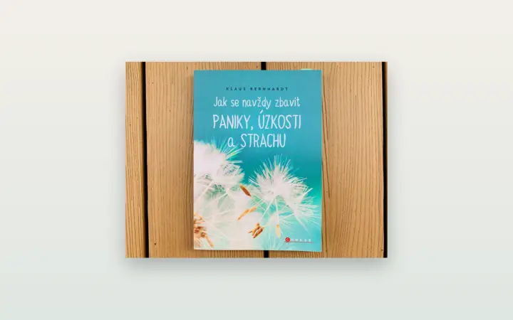 Jak se zbavit paniky: poctivá recenze knihy „Jak se navždy zbavit paniky, úzkosti a strachu“