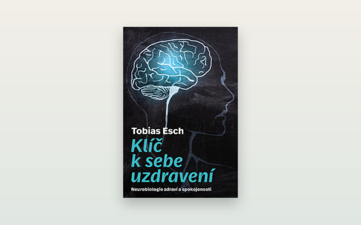 Recenze knihy Klíč k sebeuzdravení (Tobias Esch): co nabízí neurobiologie zdraví a pohody